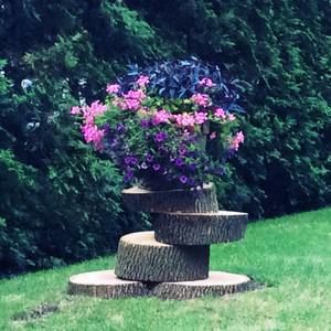 Meet your Posher, Francine